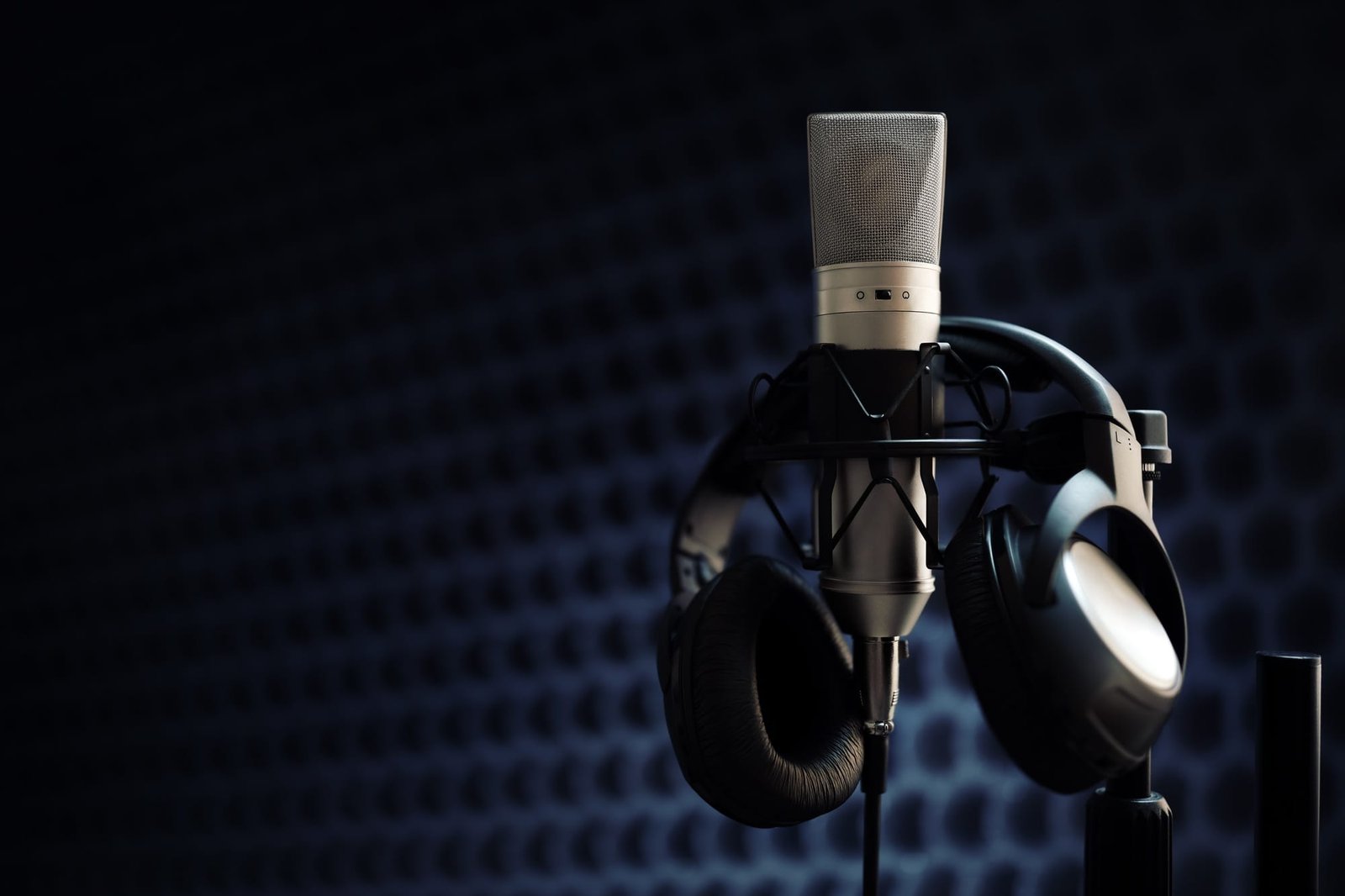 Microphone in recording studio